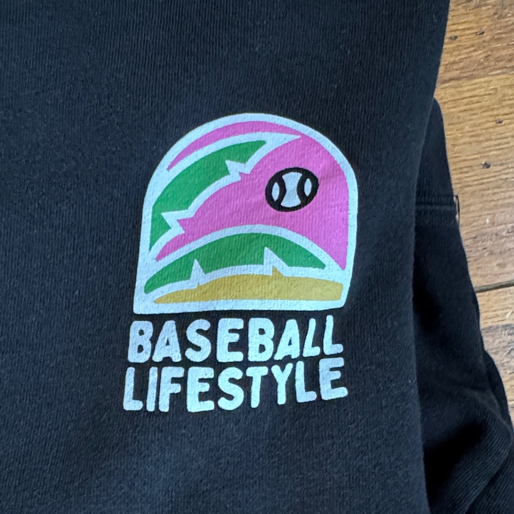 Baseball Lifestyle 101 “Swing Into Spring” Hoodie - Picture 4 of 5